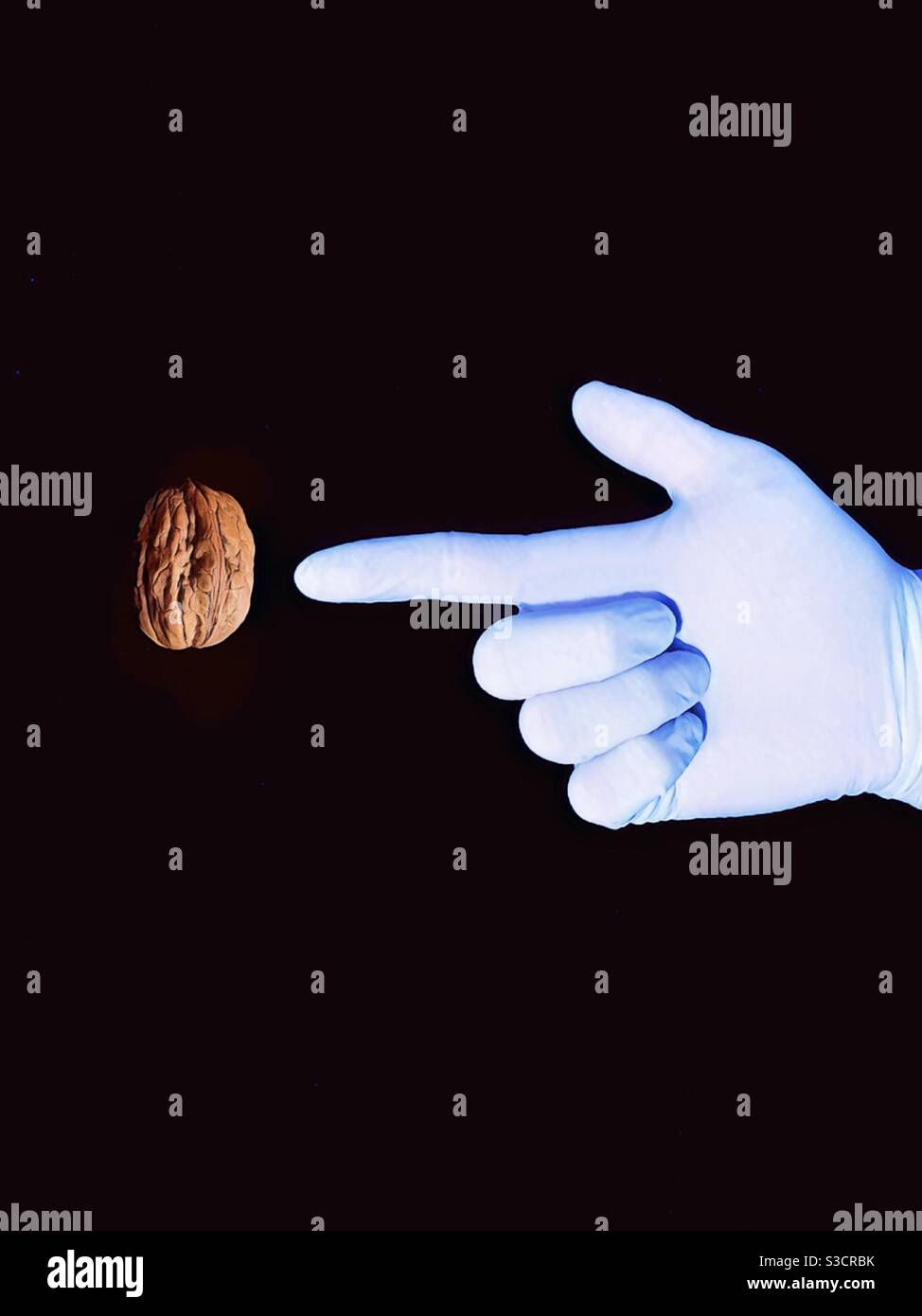 Finger touching a walnut. Prostate.  Prostate examination.  Medical check up.  See the doctor.  Prostate cancer - Smartphone Captured Stock Image