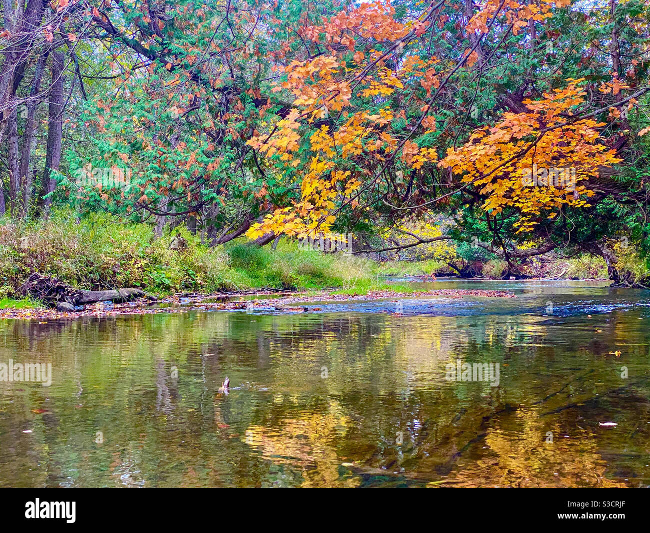 Season shift in Ontario Stock Photo Alamy