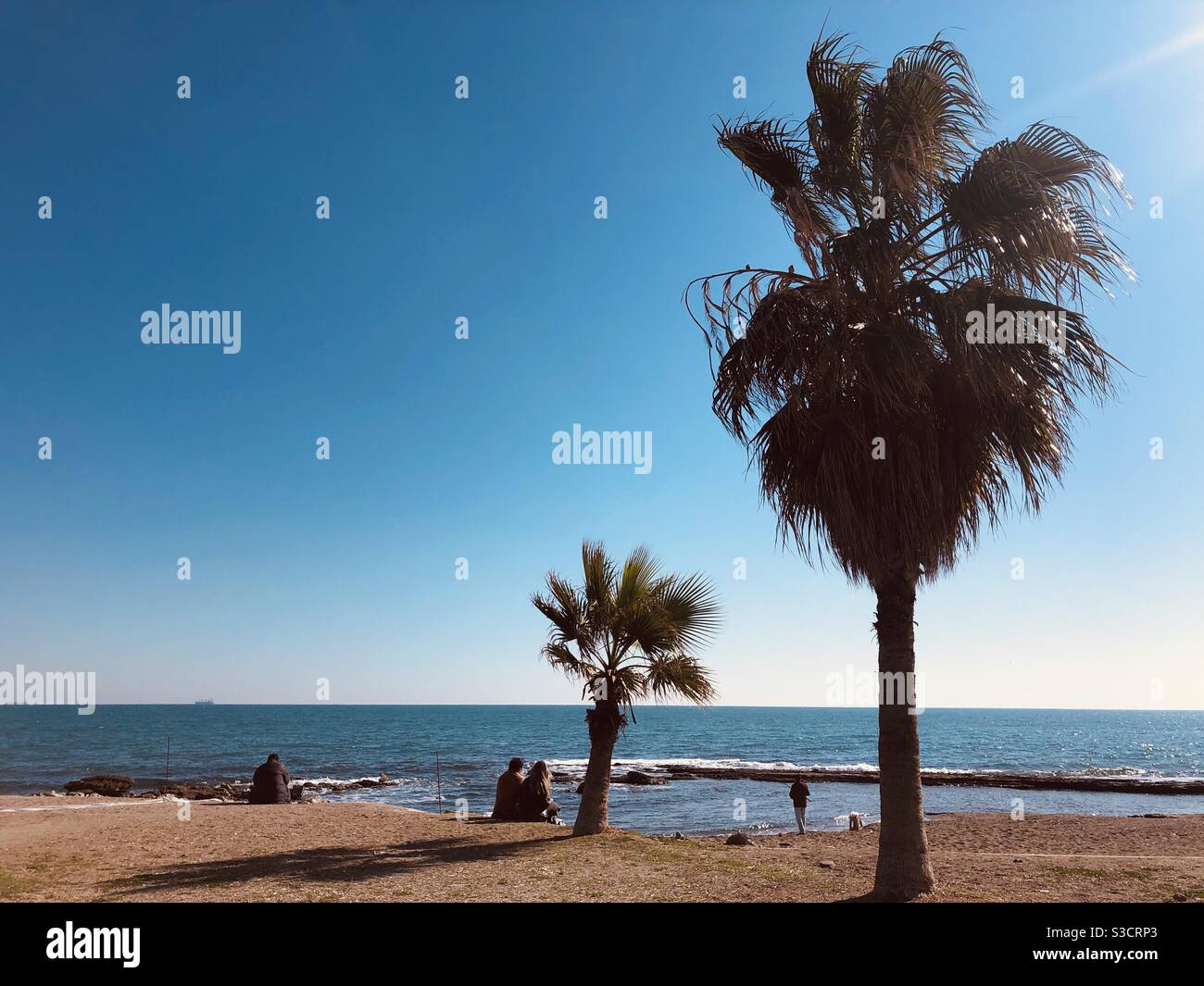 Palm trees and a couple sitting by the beach - Smartphone Captured Stock Image