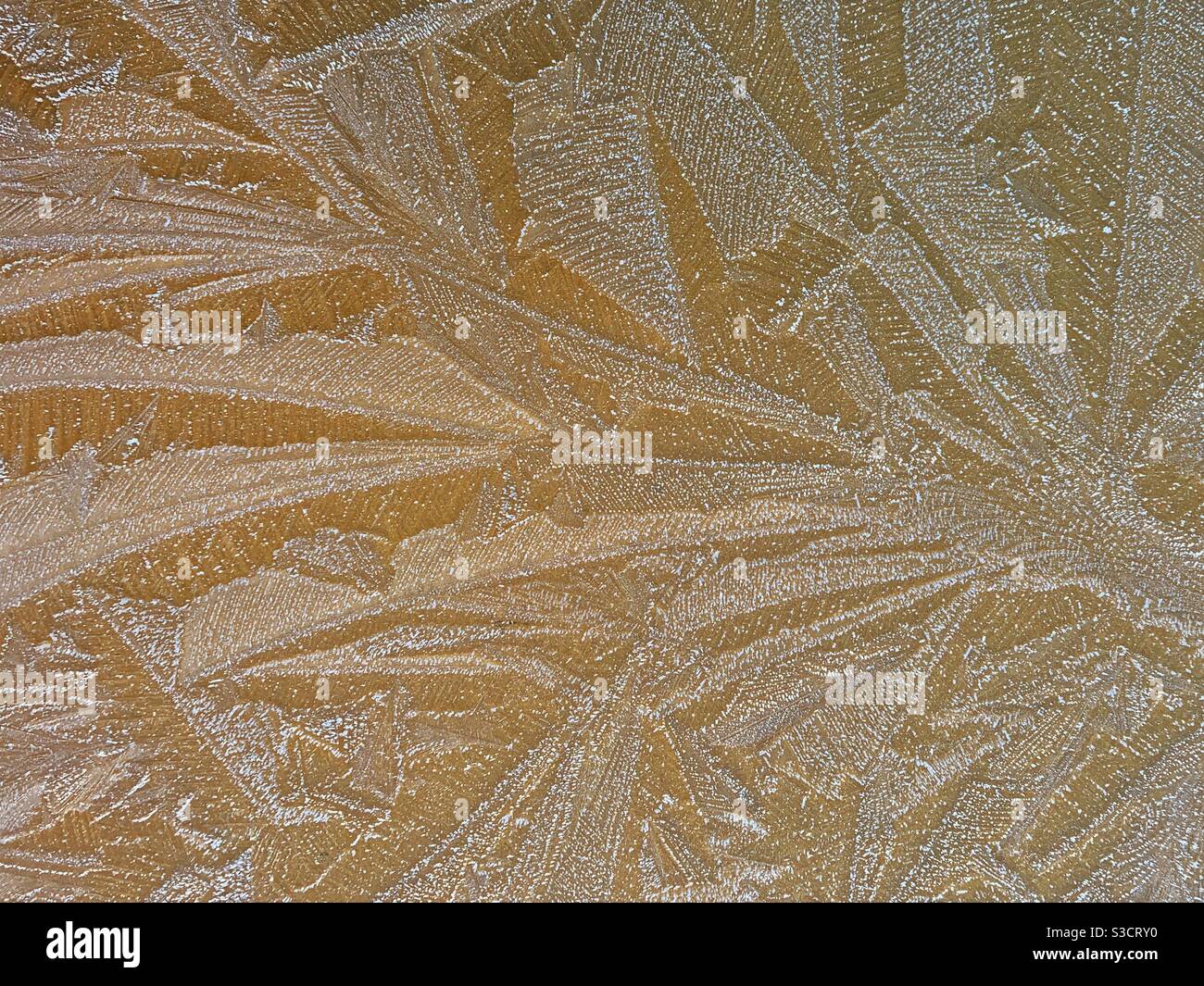 Natural abstract pattern caused by heavy frost on vehicle bonnet Stock Photo