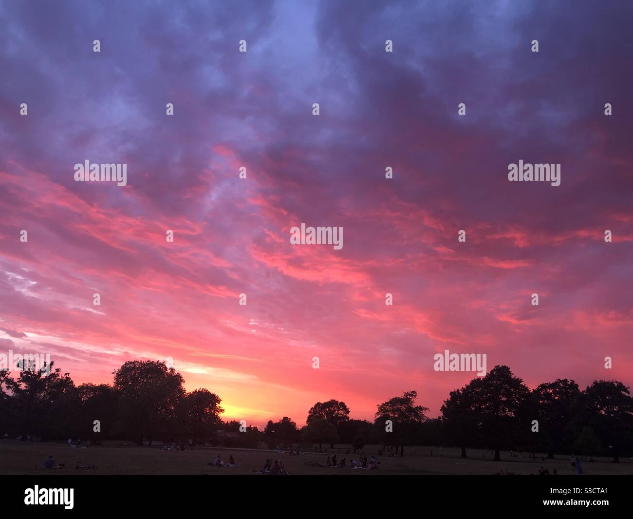 Pink sky at night, Dulwich Park, London Stock Photo