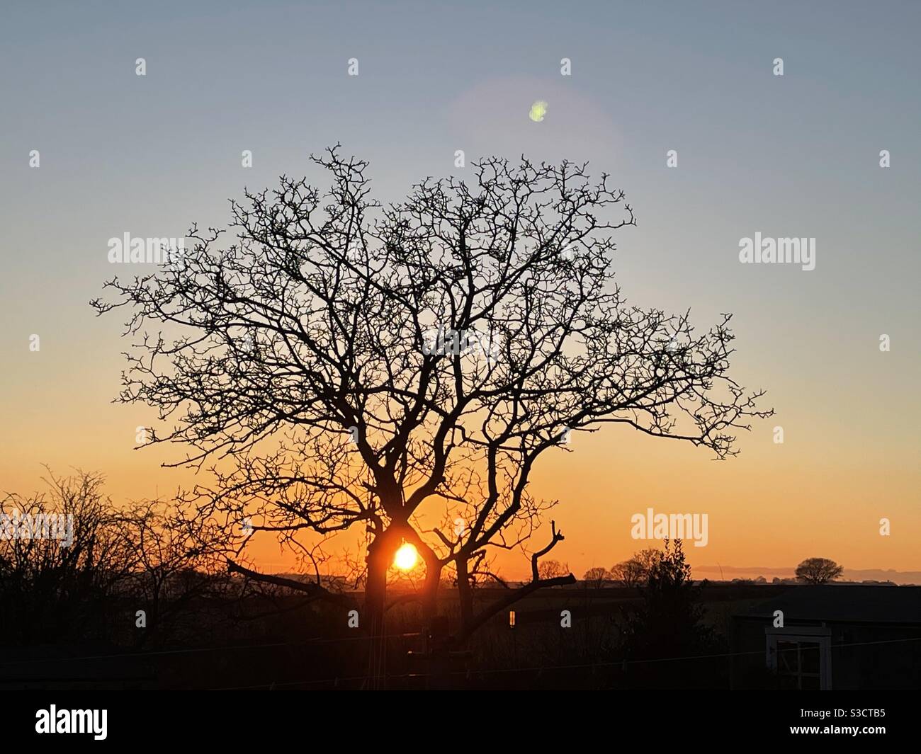 Winter Sunset tree Stock Photo
