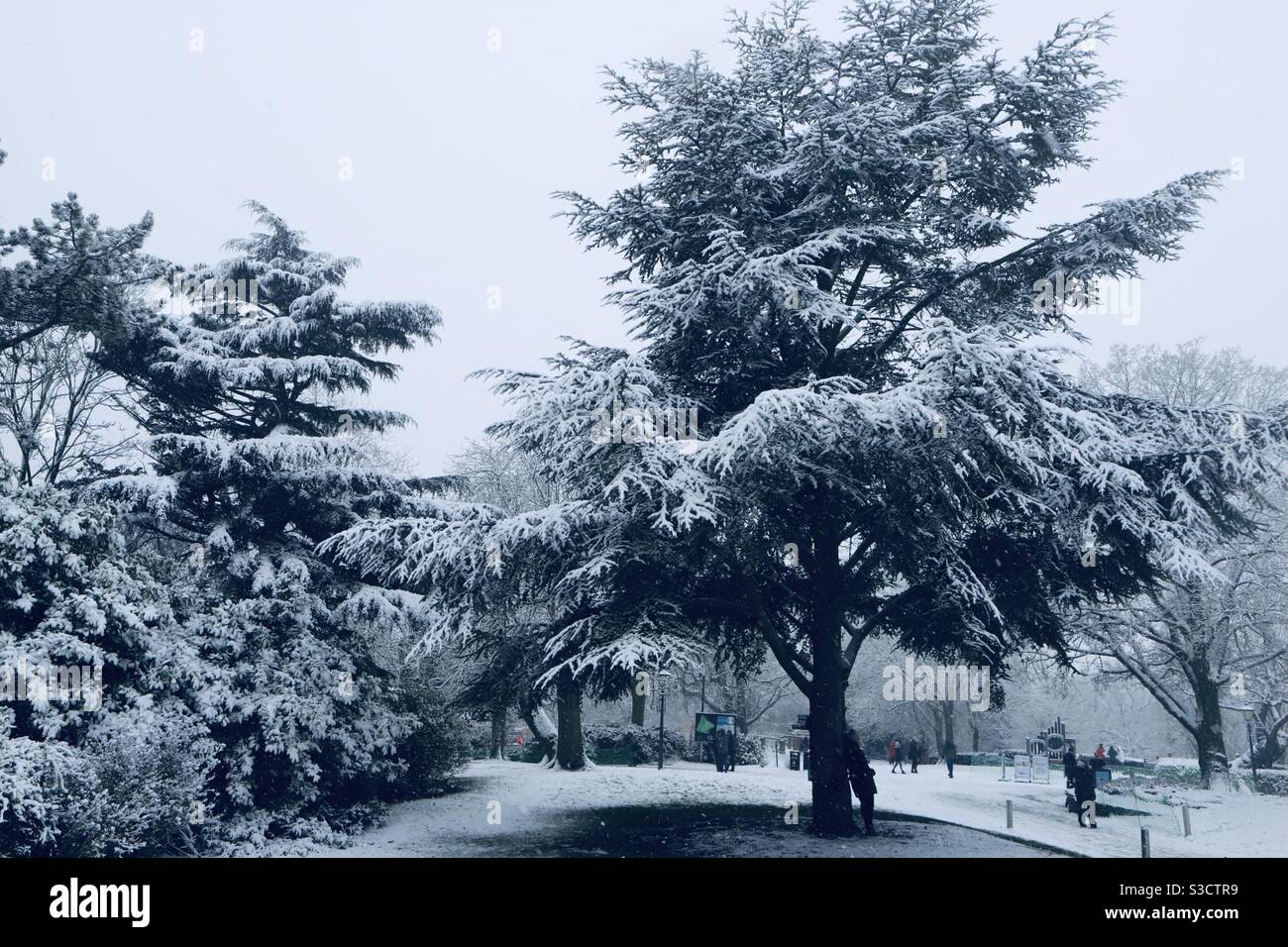 London’s horniman park in the snow - Smartphone Captured Stock Image