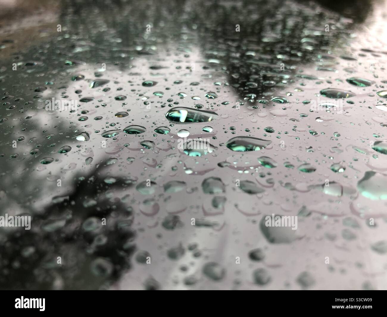 Raindrops on windshield reflecting green trees - Smartphone Captured Stock Image