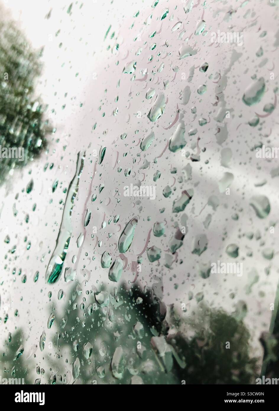 Outside shot of raindrops on car windshield reflecting green trees - Smartphone Captured Stock Image