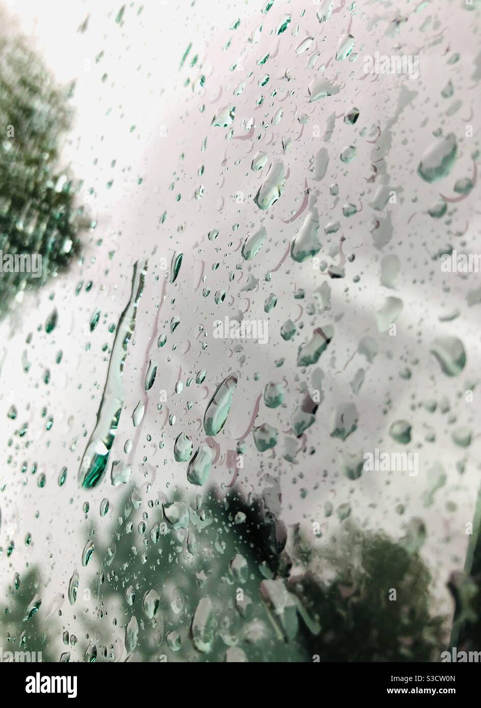Outside shot of raindrops on car windshield reflecting green trees Stock Photo