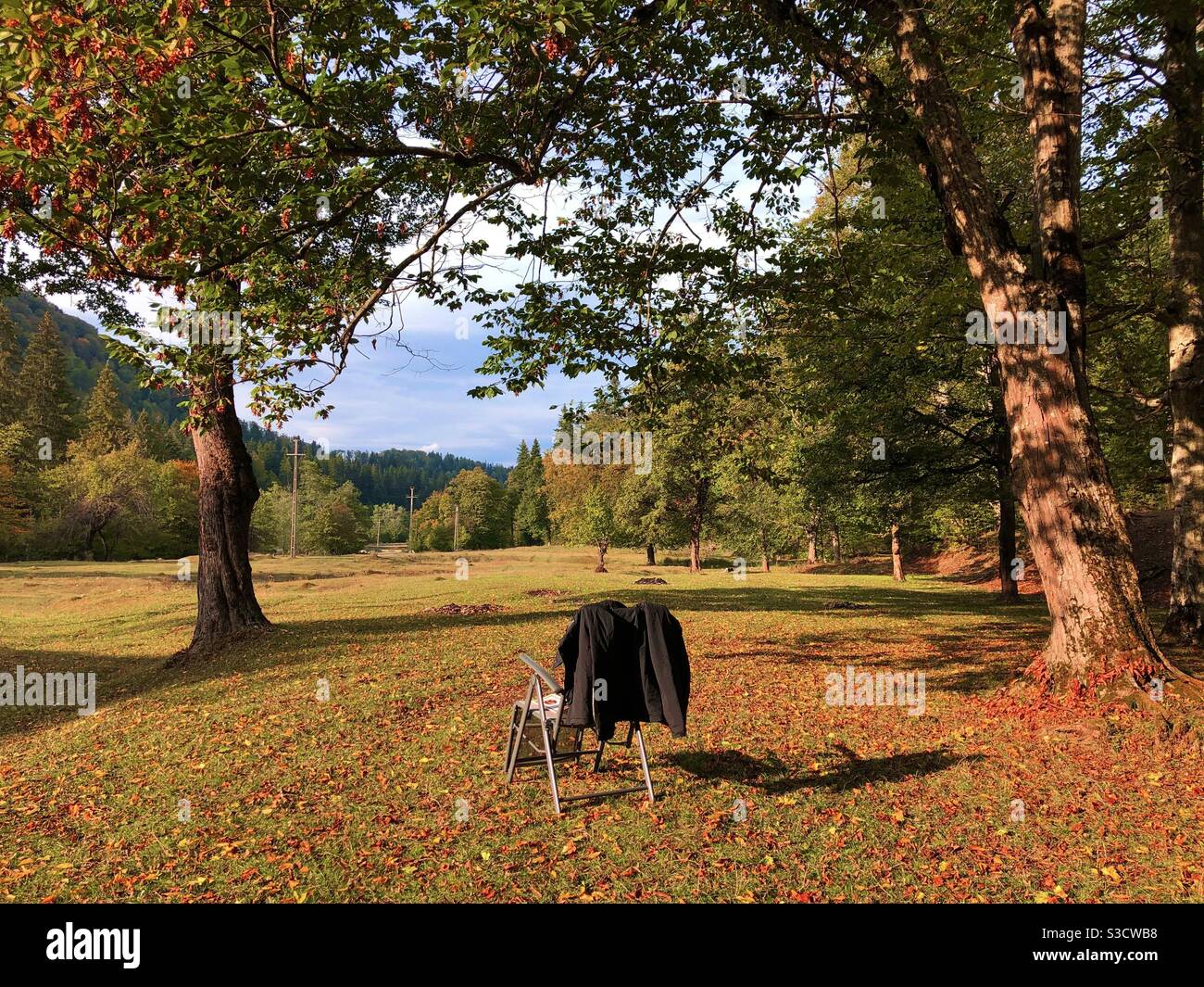 Chair and a coat in the forest during autumn - Smartphone Captured Stock Image