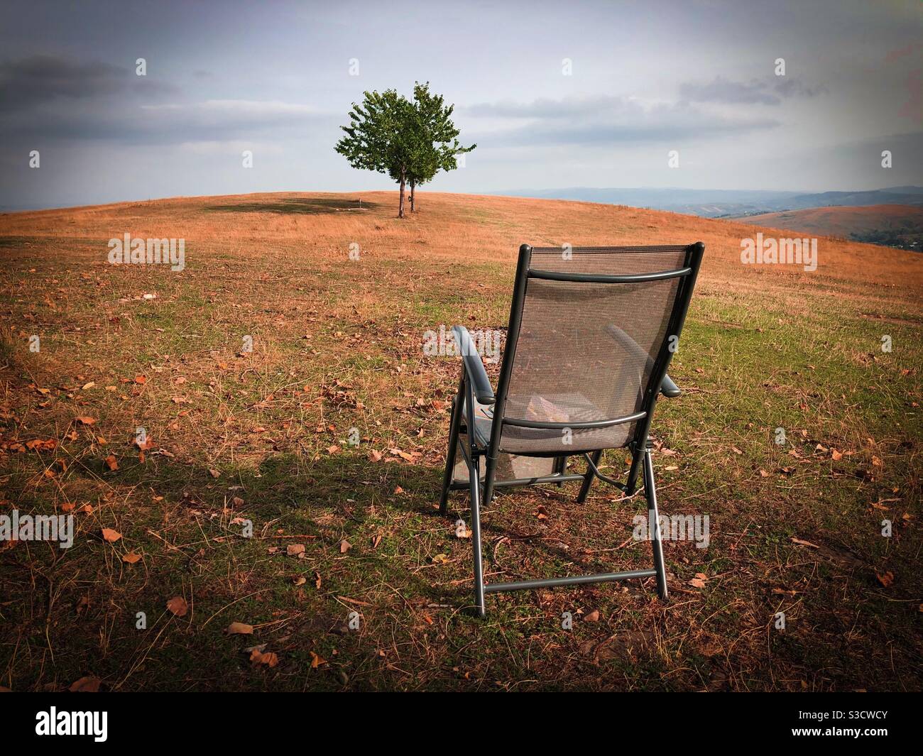 Empty chair and a lonely tree on a field - Smartphone Captured Stock Image