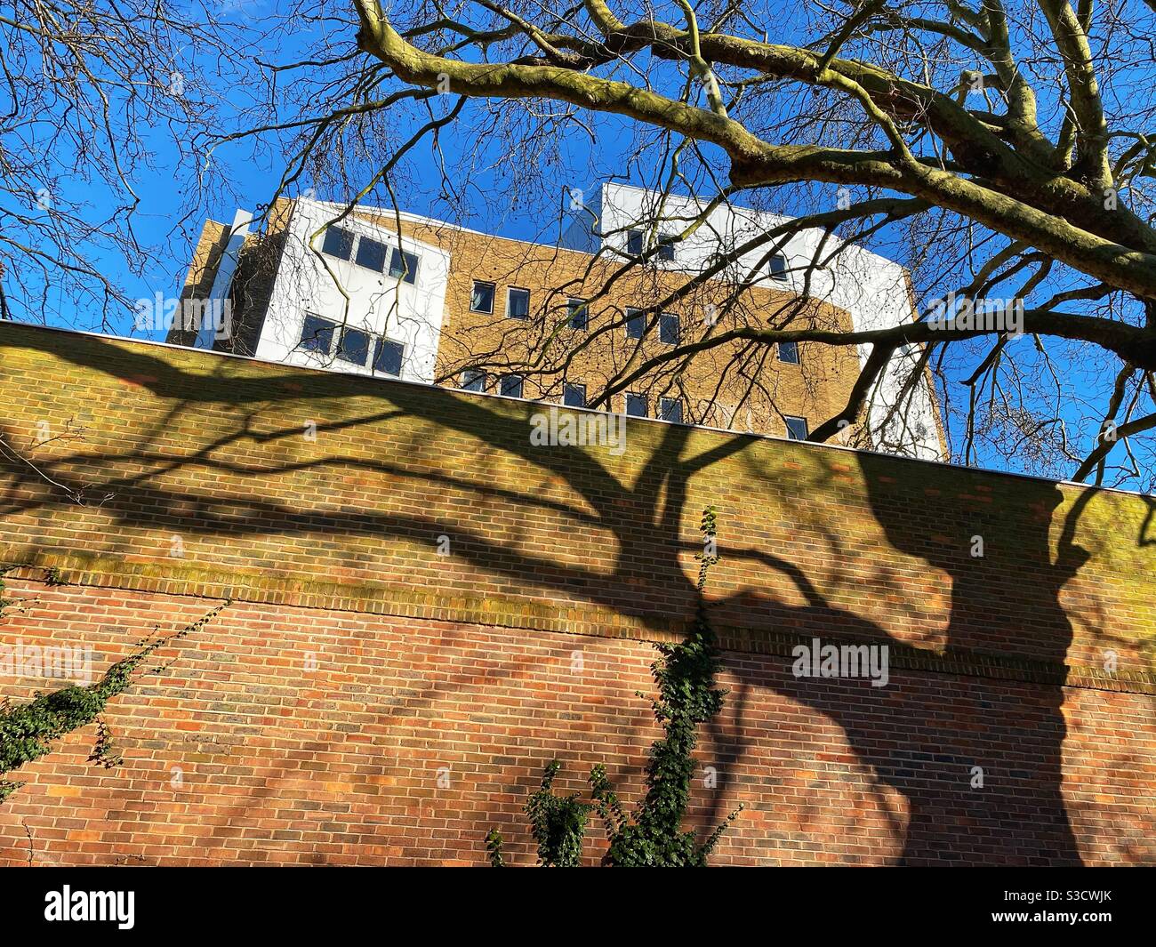 University Hospital Lewisham seen from Ladywell Fields London, England on January 25 2021 Stock Photo