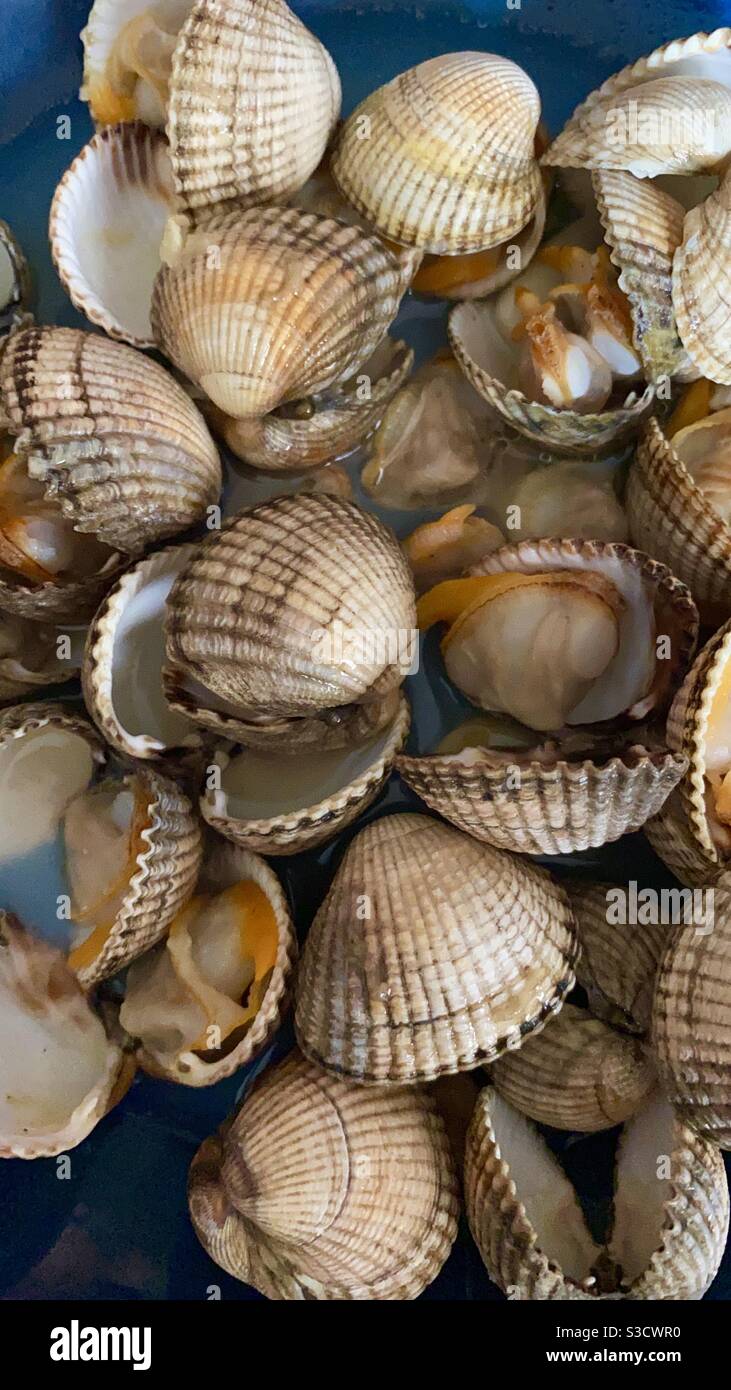 Cockles and mussels hires stock photography and images Alamy
