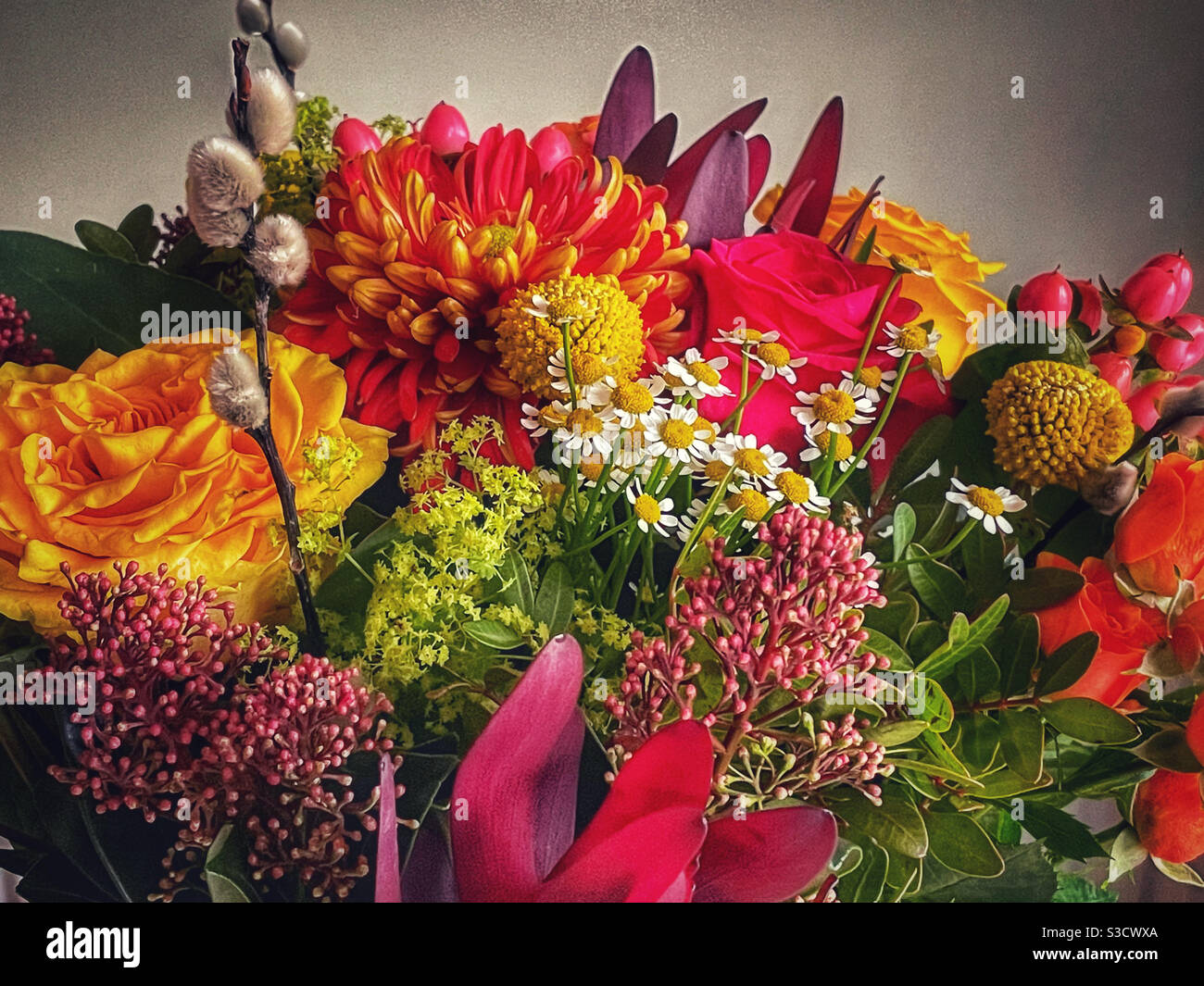 Vibrant winter flowers - Smartphone Captured Stock Image