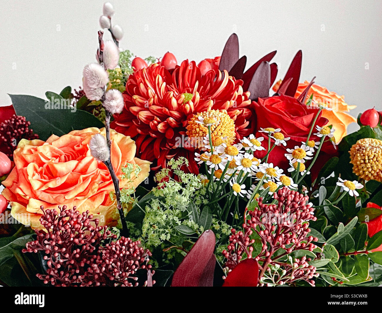 Winter flower bouquet - Smartphone Captured Stock Image