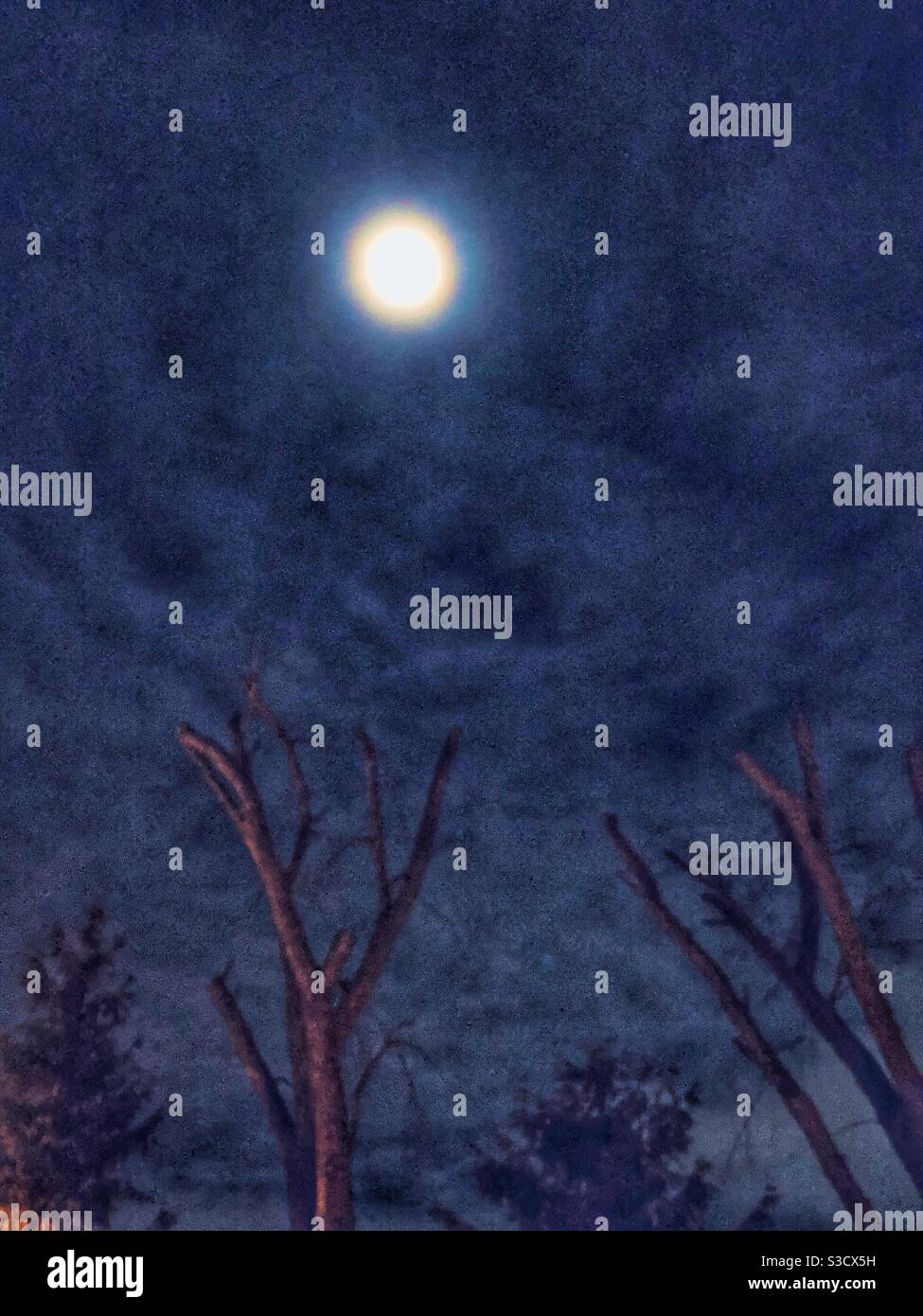 Dramatic moonlit sky. Stock Photo
