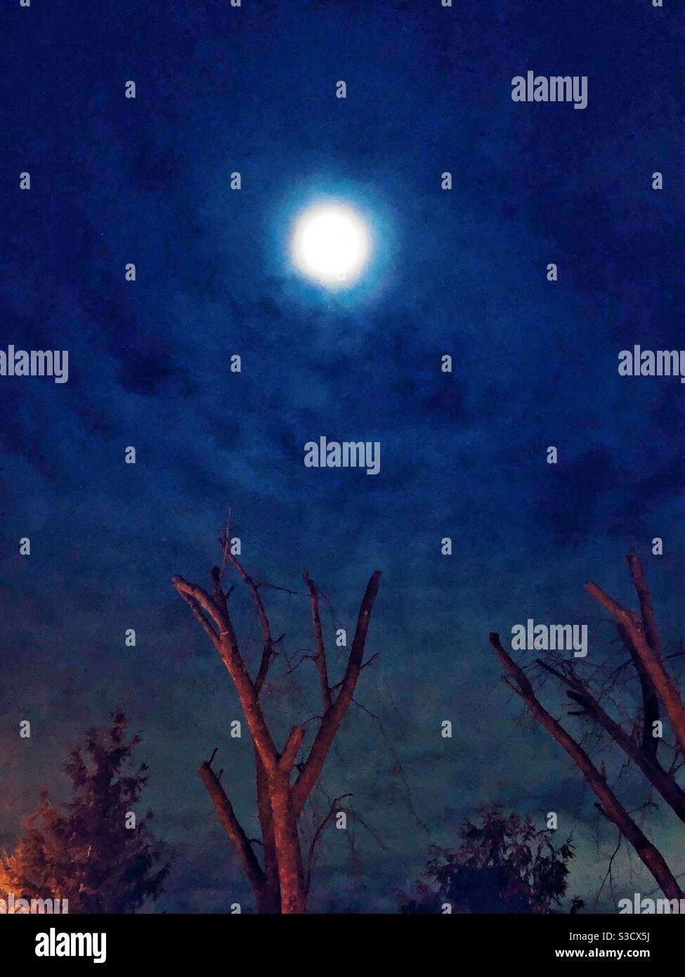 A mesmerizing moonlit night sky. Stock Photo