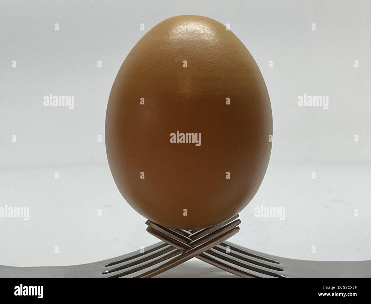 Still life photo on an egg supported by two forks - Smartphone Captured Stock Image