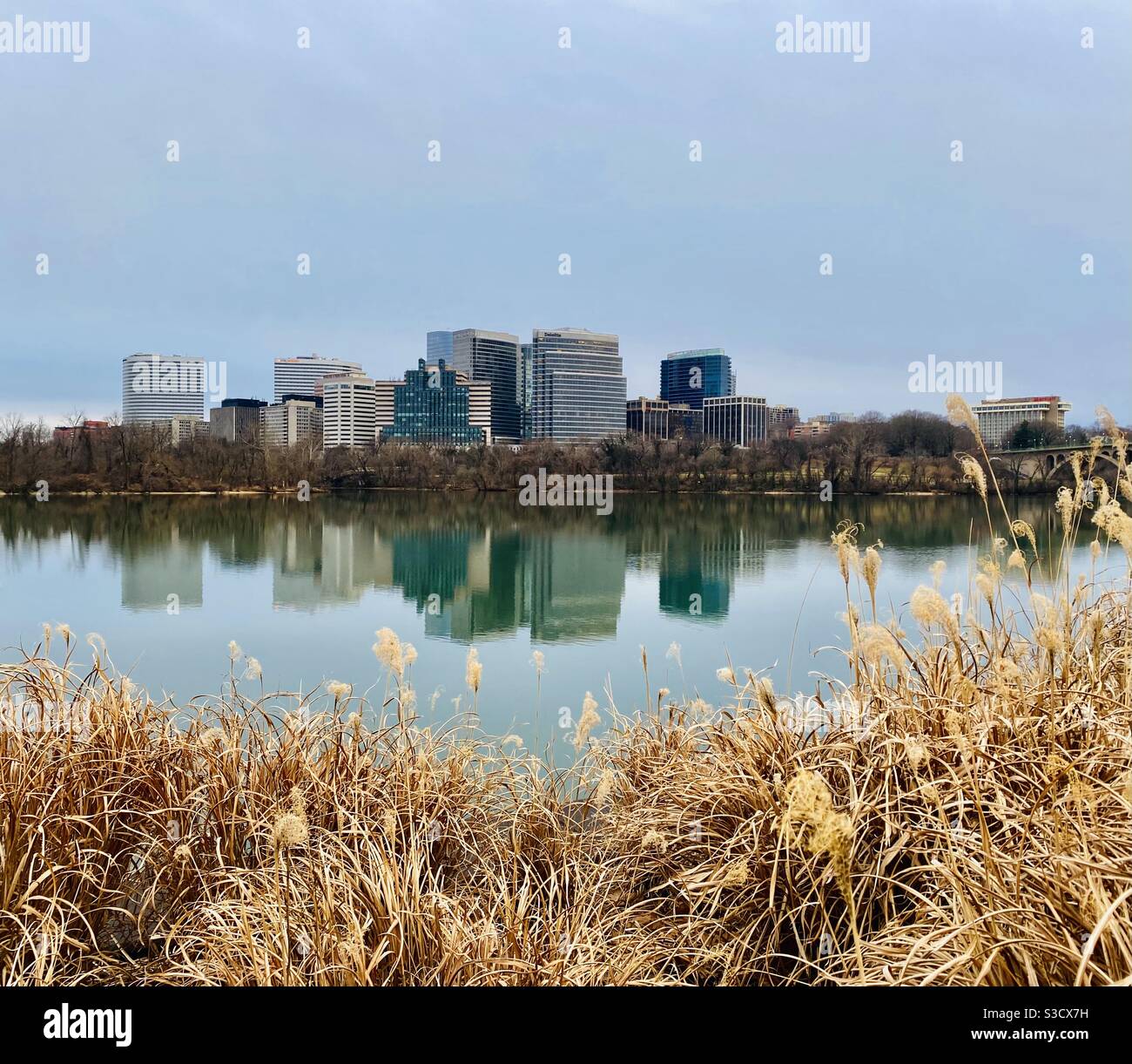 The Potomac River from the Waterfront. The skyline is in