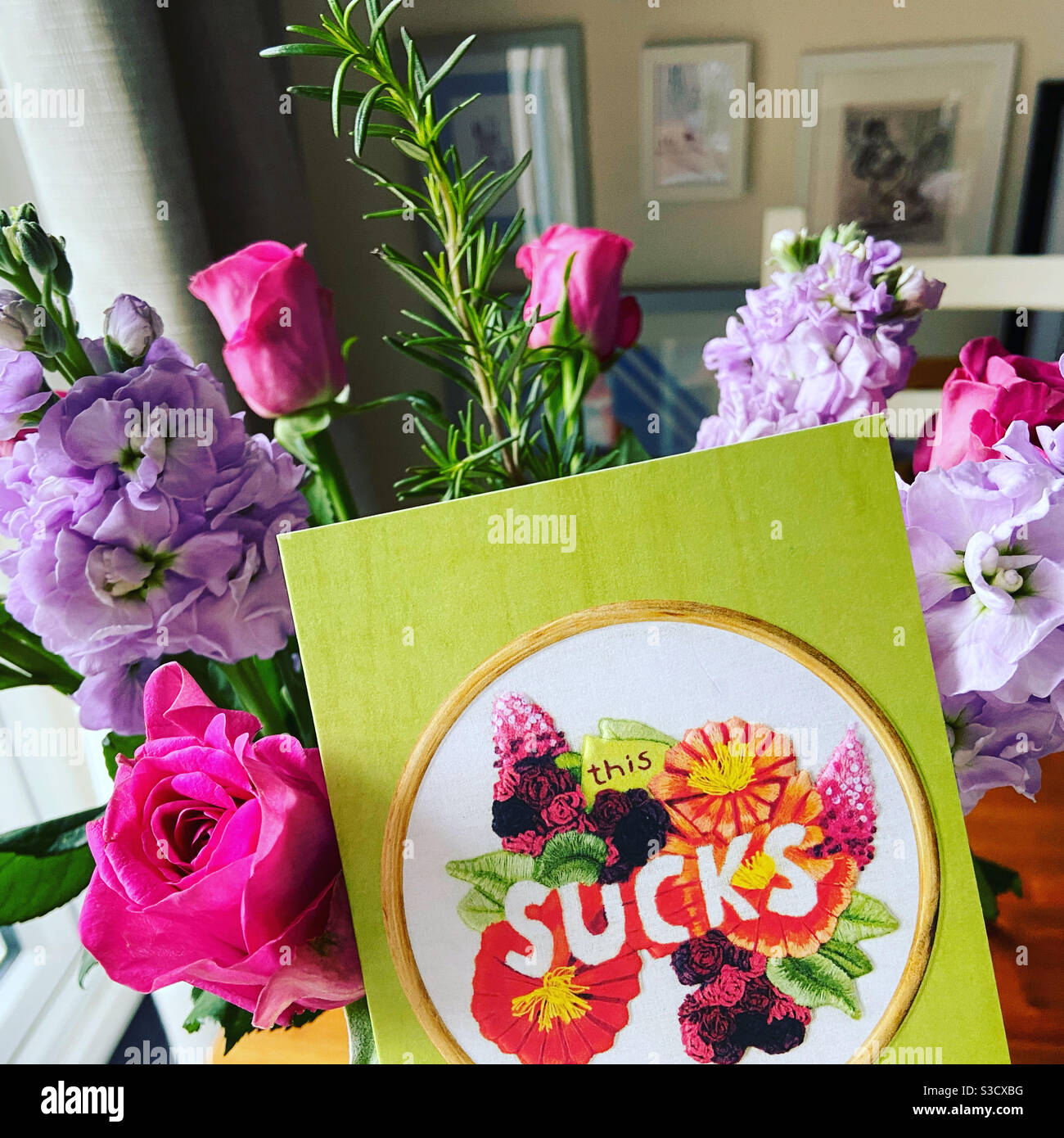 This sucks - Smartphone Captured Stock Image