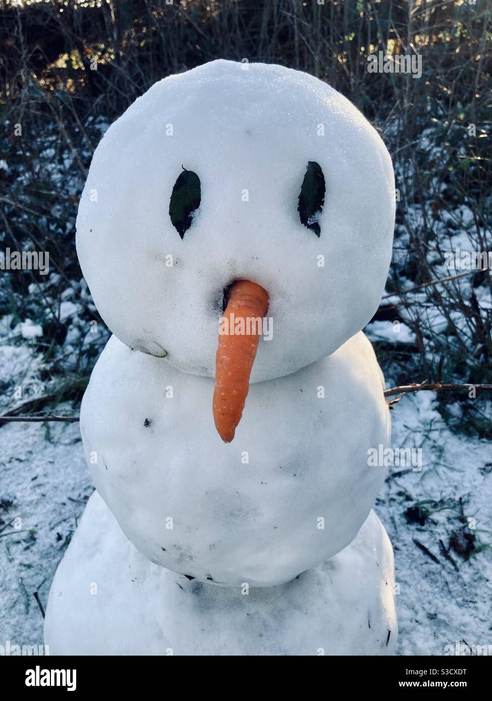 Snowman Carrot Nose High Resolution Stock Photography and Images - Alamy