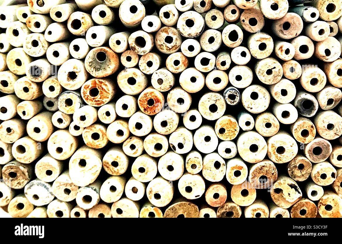 Cross section of antique clay tobacco pipe stems from the River Thames