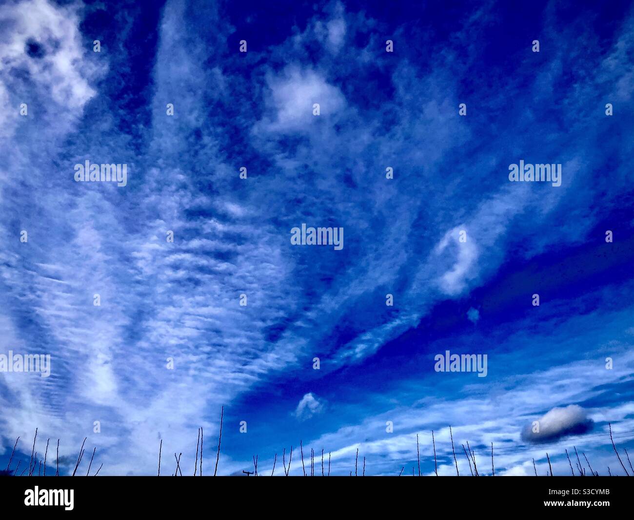 Dramatic perspective of blue sky with variety of cloud formations Stock Photo