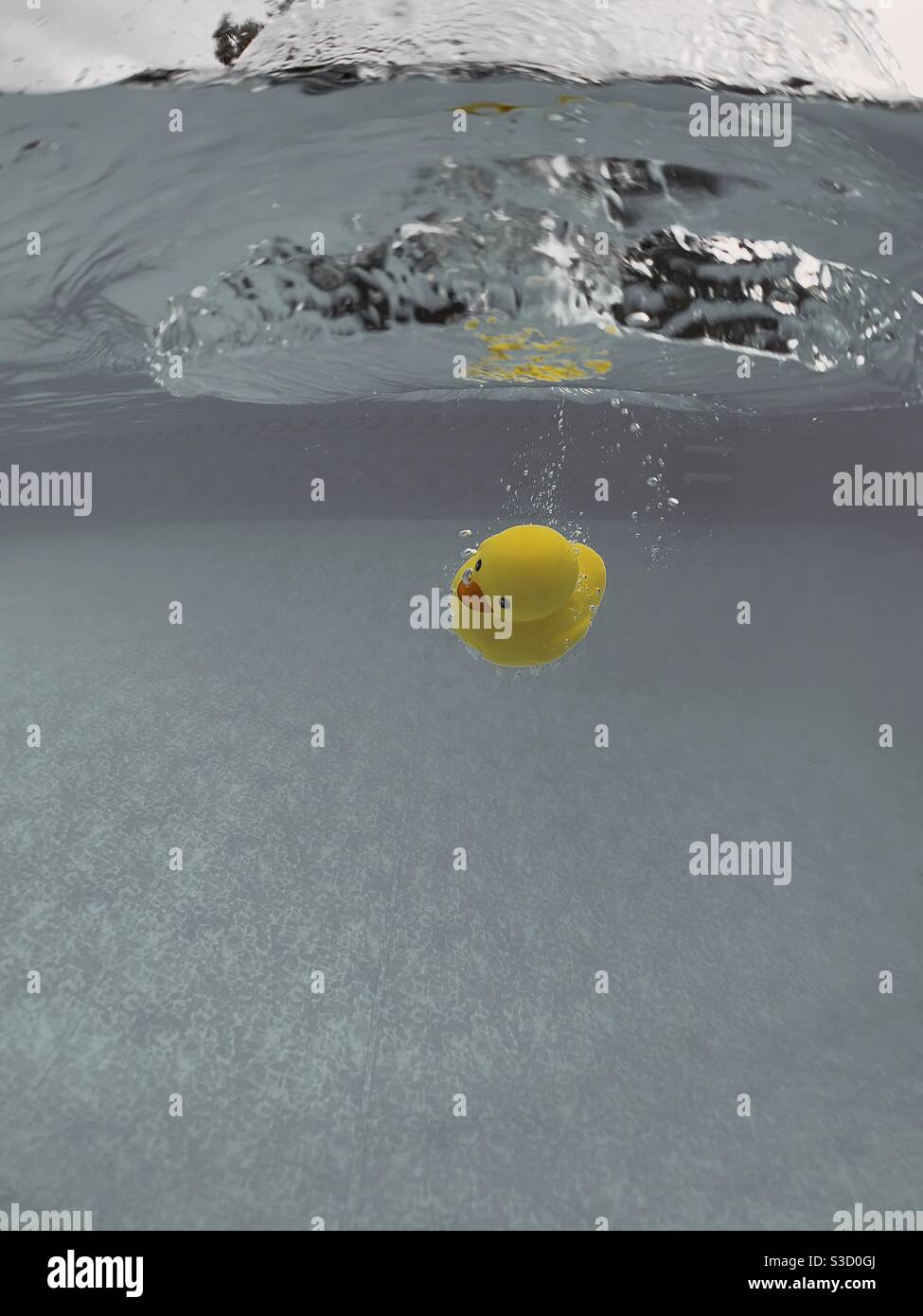 Yellow rubber duck submerged underwater Stock Photo Alamy