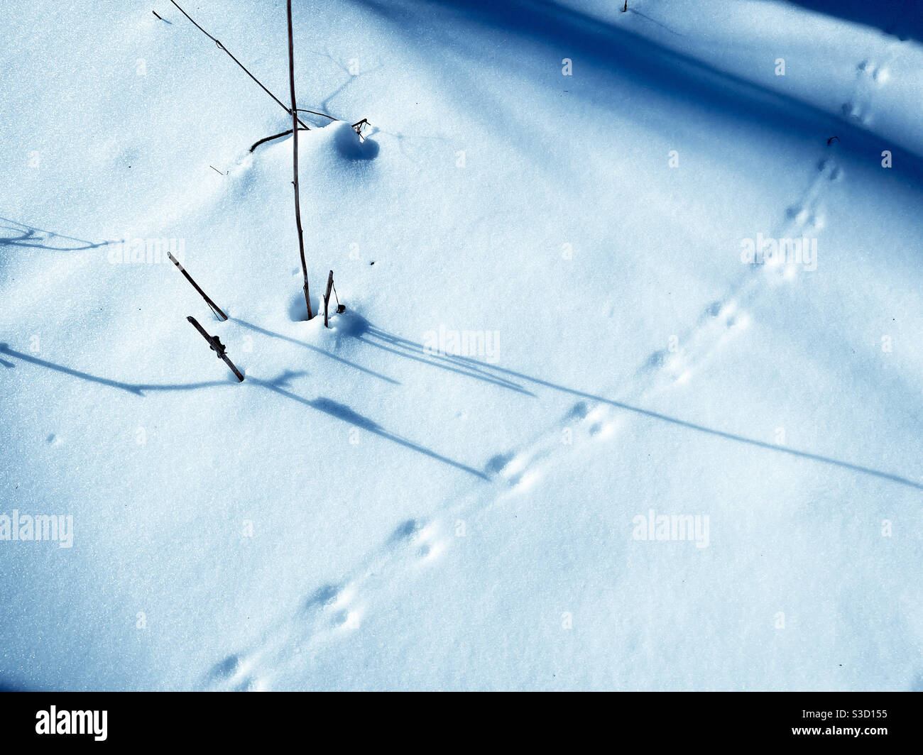 Mouse tracks and shadows on snow. Stock Photo