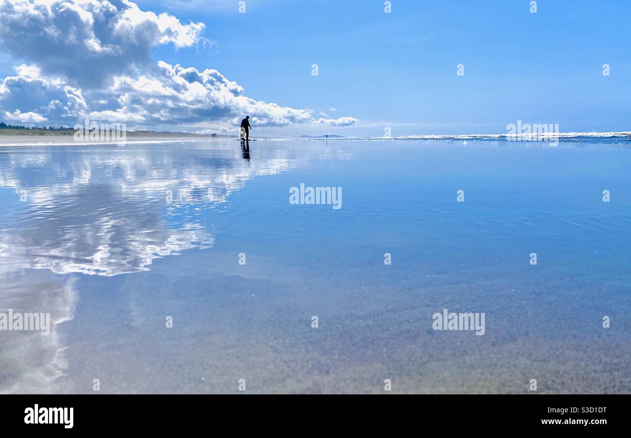 Razor clamming at the low tide at Long Beach, Washington State - Smartphone Captured Stock Image