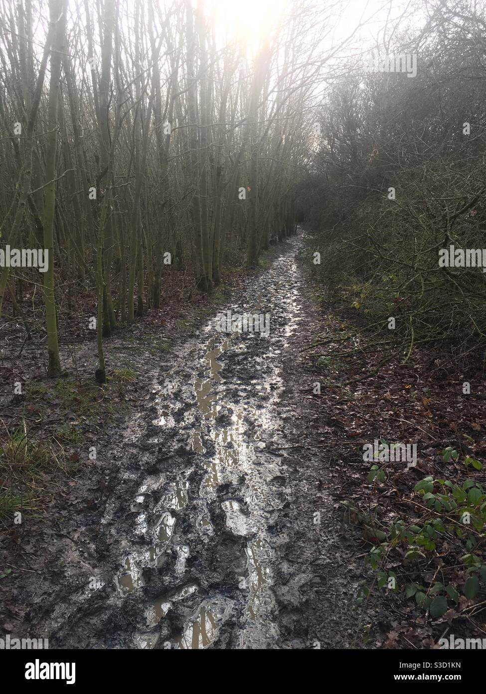 Muddy footpath - Smartphone Captured Stock Image