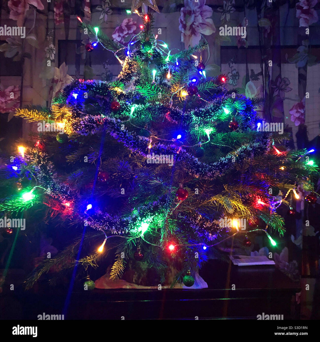 Small Christmas Tree dressed with colourful Xmas garland with lights. Stock Photo