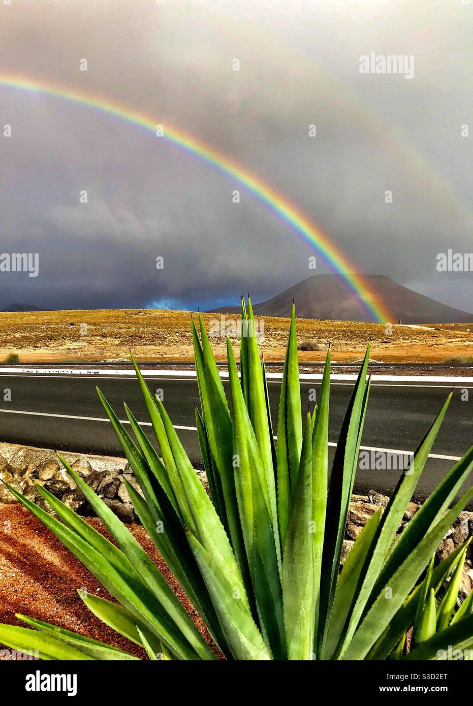 View from behind Aloe Vera plant of Rainbow over beach, Parque Hollandes, Coast Road, Fuerteventura, Canary Islands with the island of Los Lobos in the background Stock Photo