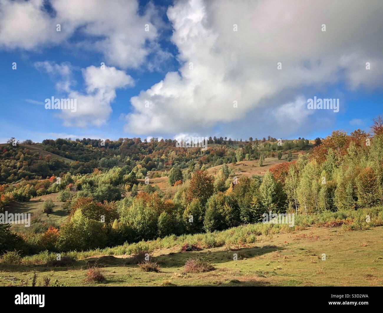 Autumn landscape - Smartphone Captured Stock Image