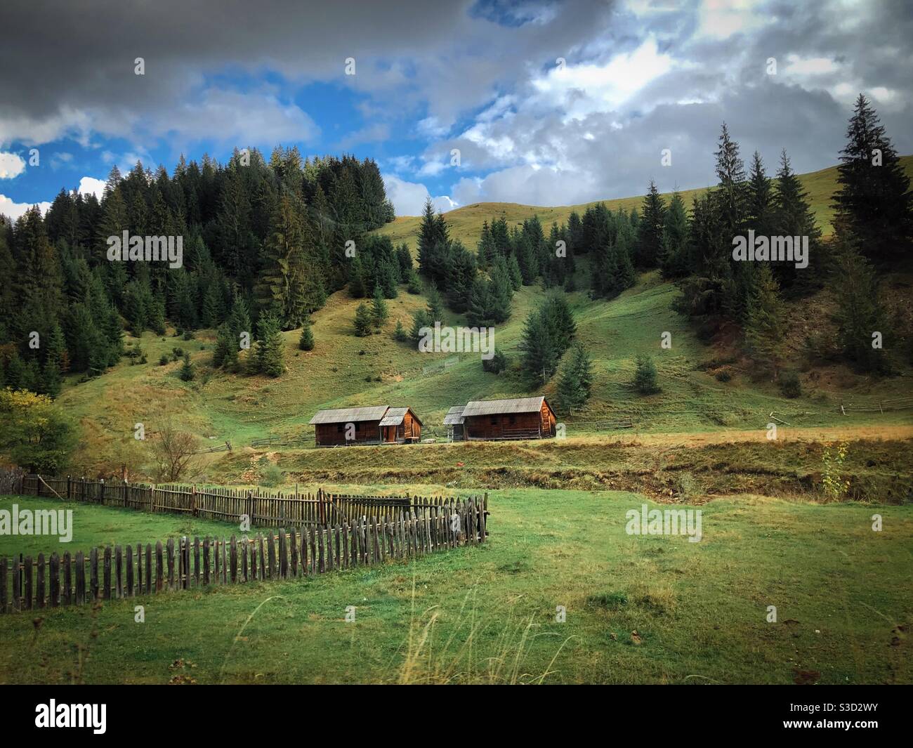 Rustic houses surrounded by coniferous trees - Smartphone Captured Stock Image