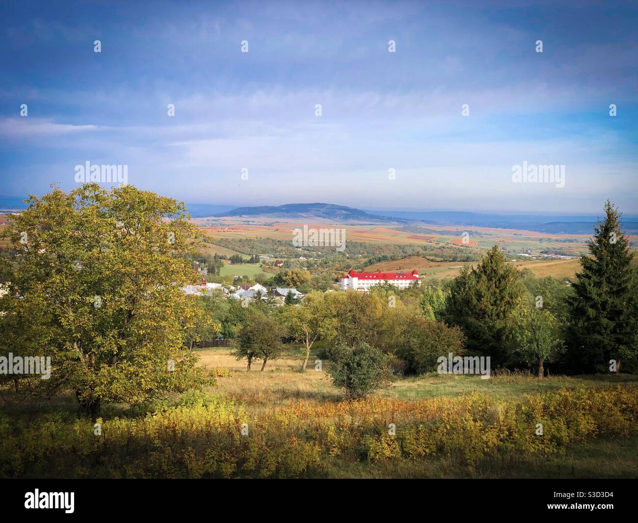 Houses surrounded by forest seen from the distance - Smartphone Captured Stock Image