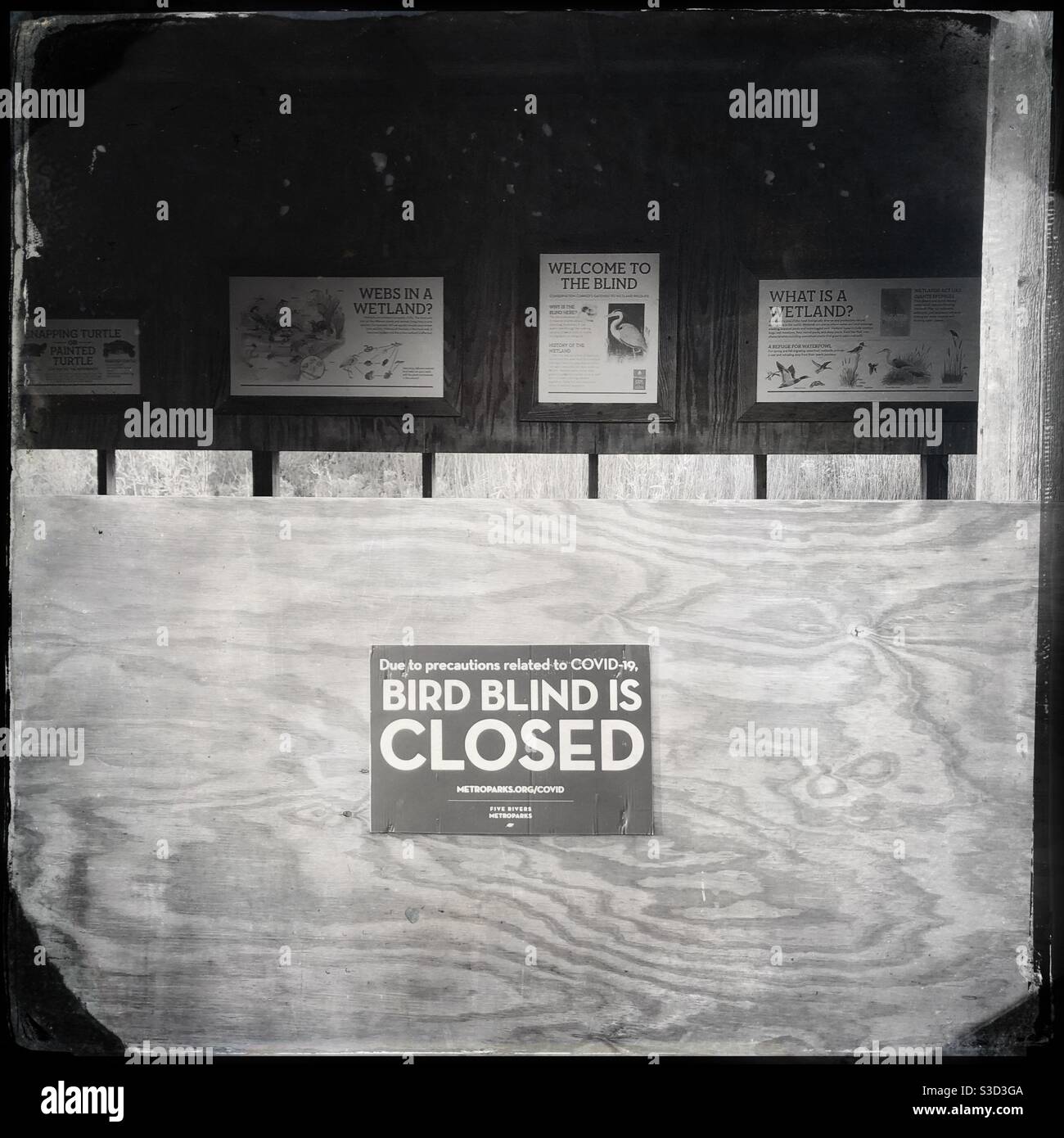 The bird blind is closed due to COVID-19.  Shot with a tin type filter. Stock Photo