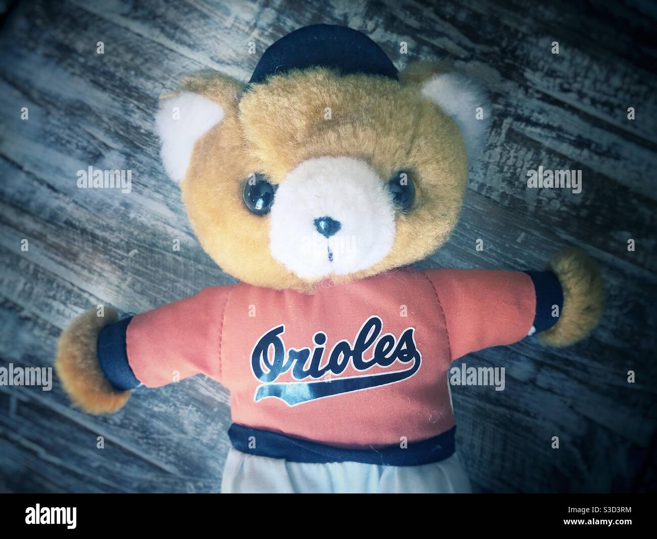 Souvenir Bear from Orioles Baseball game in Baltimore 1997 - Smartphone Captured Stock Image