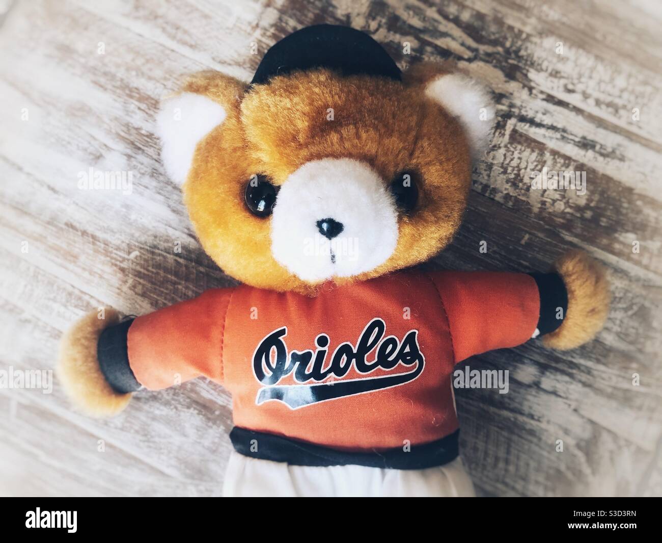 Souvenir bear from Orioles baseball game in Baltimore in 1997 - Smartphone Captured Stock Image