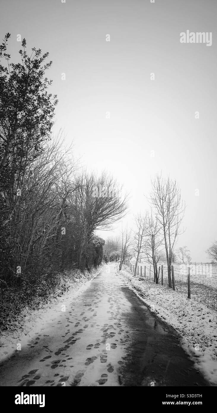 A photograph of a frosty country lane with a fresh layer of snow, trees one side and a field the other. Footprints in the snow on the road. Rural scene. - Smartphone Captured Stock Image
