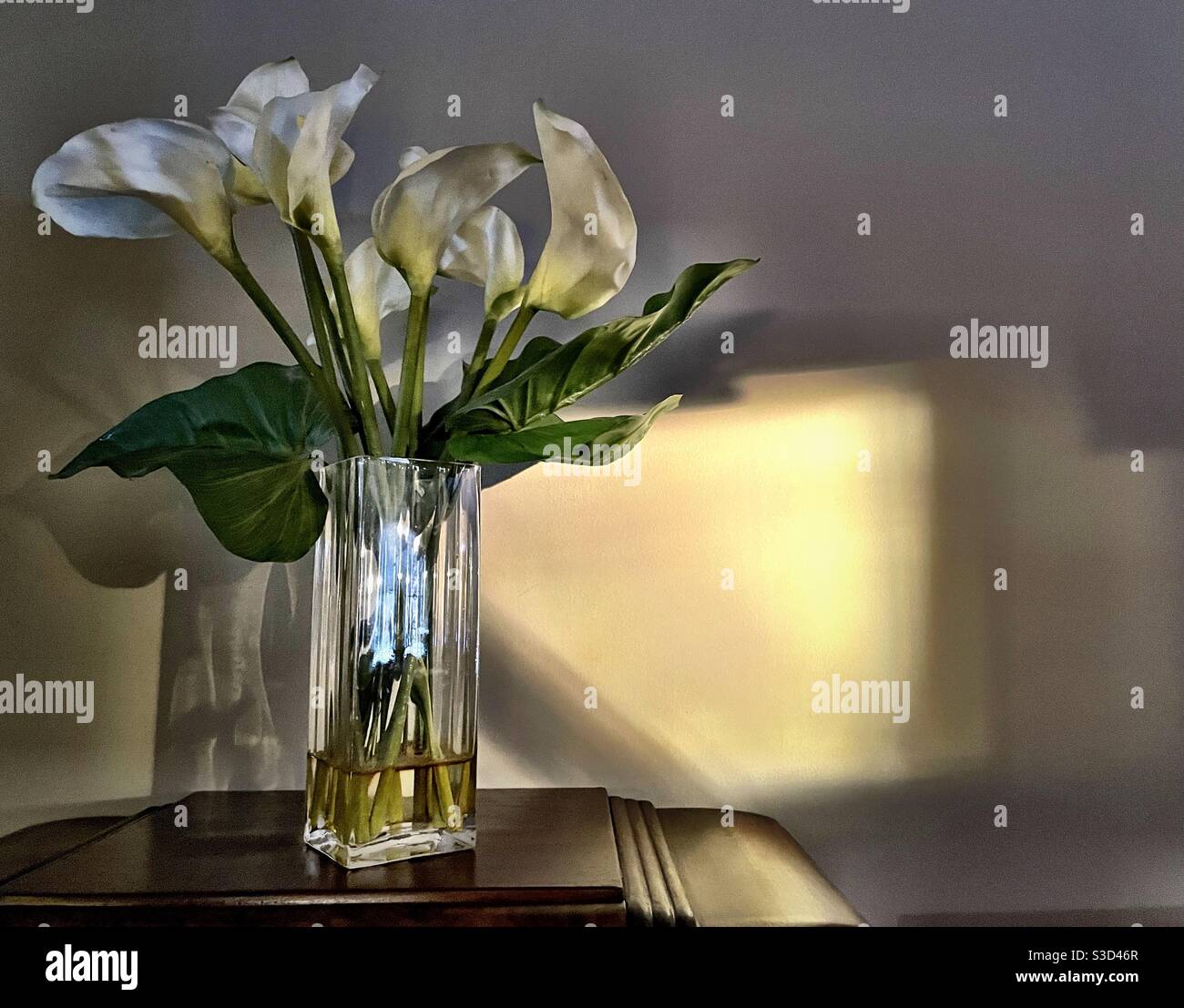 Lady rays of sunlight on a vase of silk Cala Lilies - Smartphone Captured Stock Image