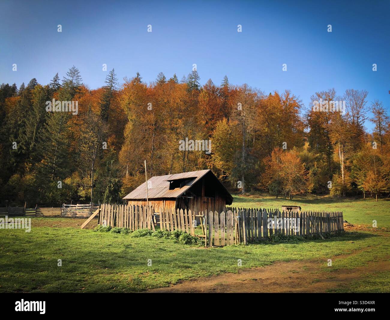 Abandoned wooden barn in autumn - Smartphone Captured Stock Image