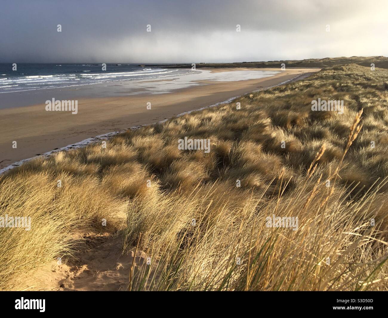 Sand Dunes and Marram Grass at Fraserburgh Beach, Aberdeenshire, Scotland Stock Photo