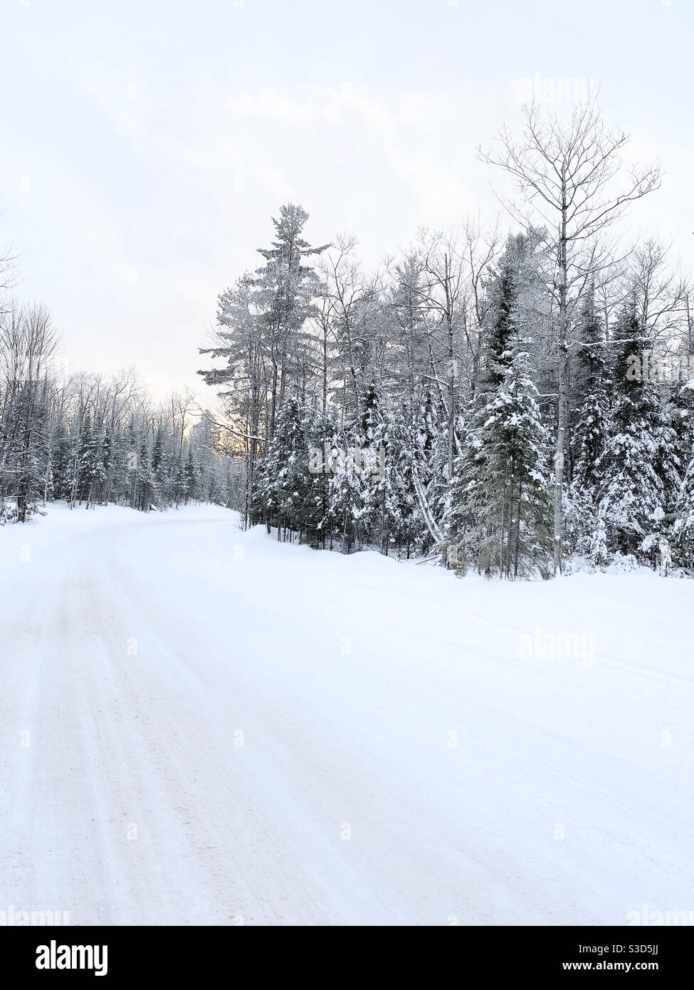Snowy road in northern Wisconsin Stock Photo