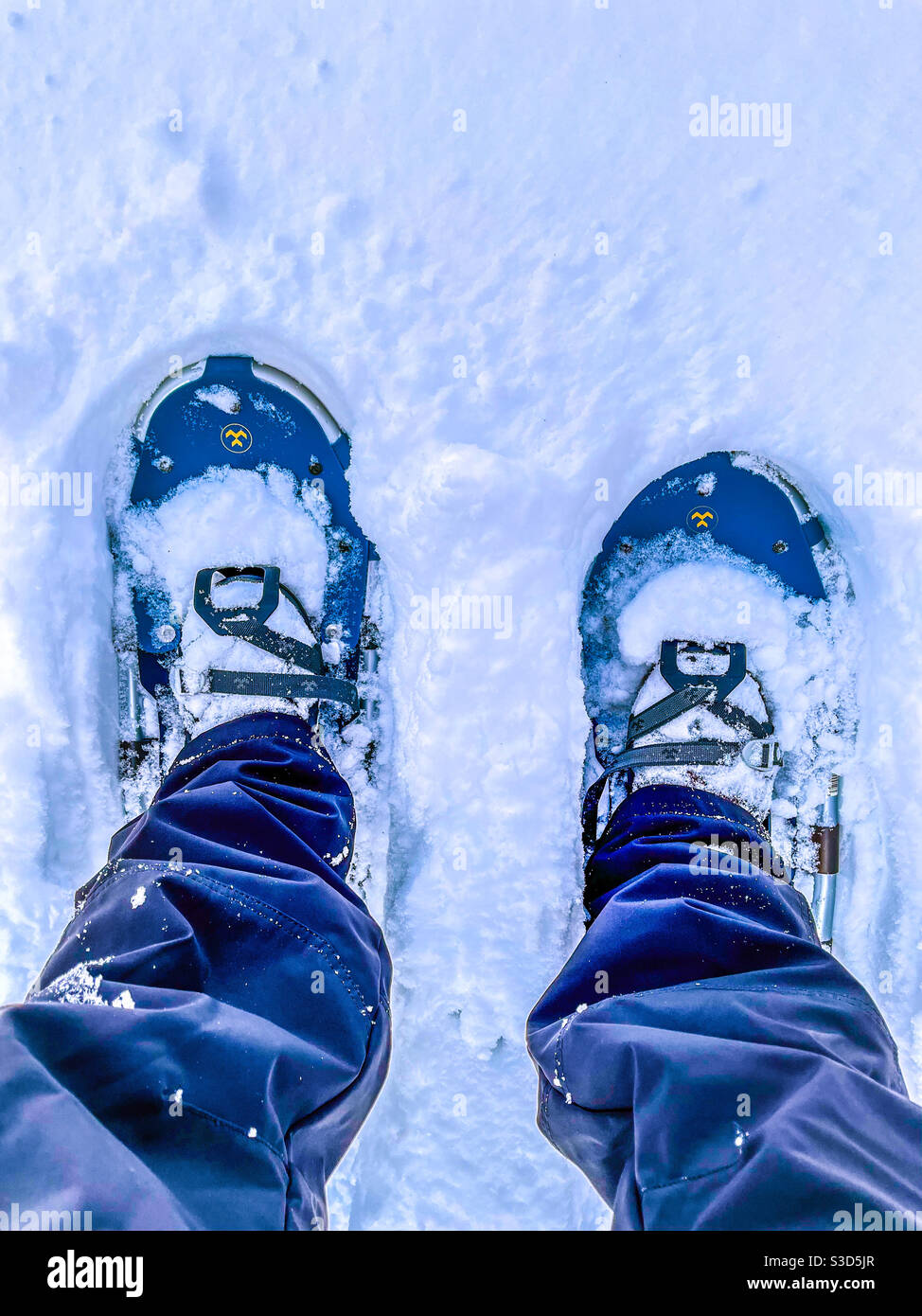 Legs and snowshoes. Stock Photo