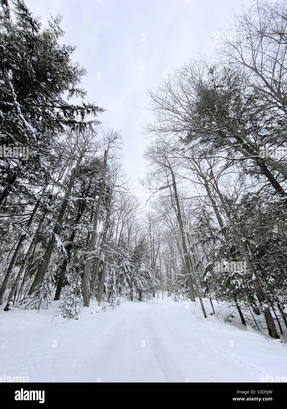 Snow covered road in northern Wisconsin Stock Photo