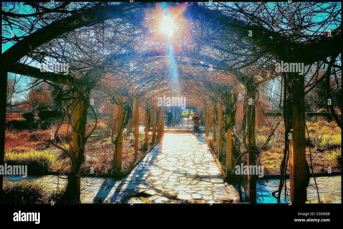 Sexby gardens in Peckham Rye park Stock Photo Alamy