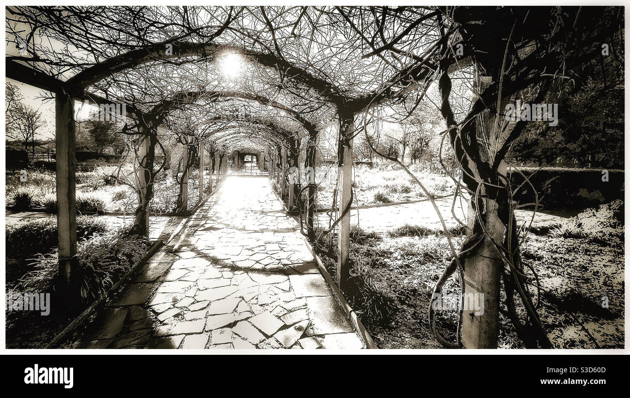 Wisteria Avenue in Sexby Gardens. - Smartphone Captured Stock Image