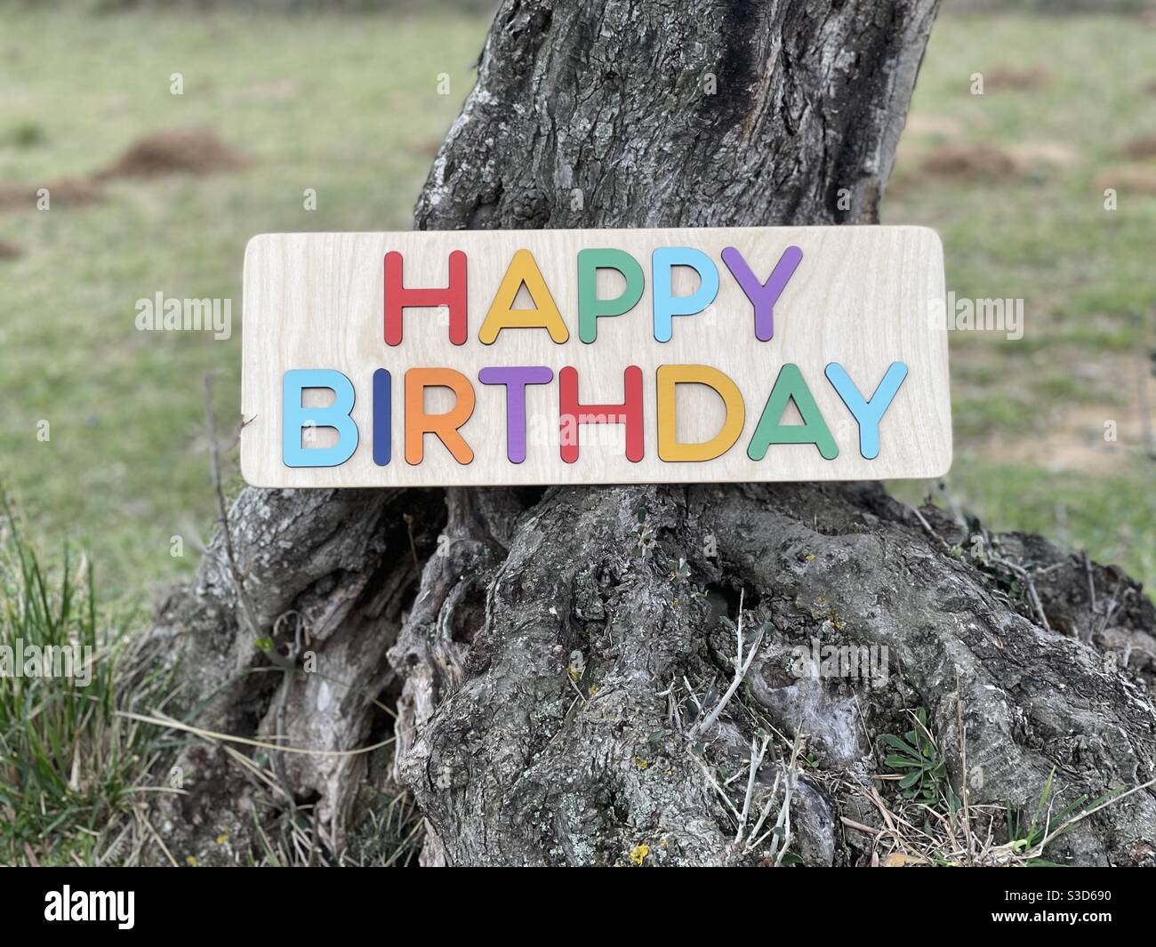 Happy Birthday text with colored wooden letters on a olive tree - Smartphone Captured Stock Image