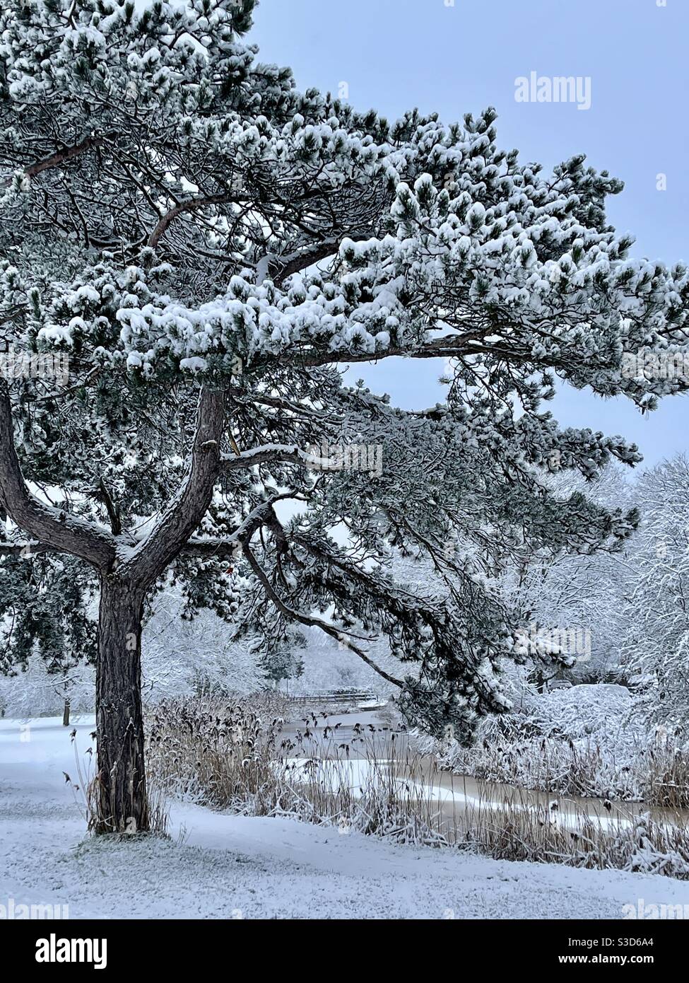 Winter morning, Birmingham canal, Droitwich, UK Stock Photo Alamy