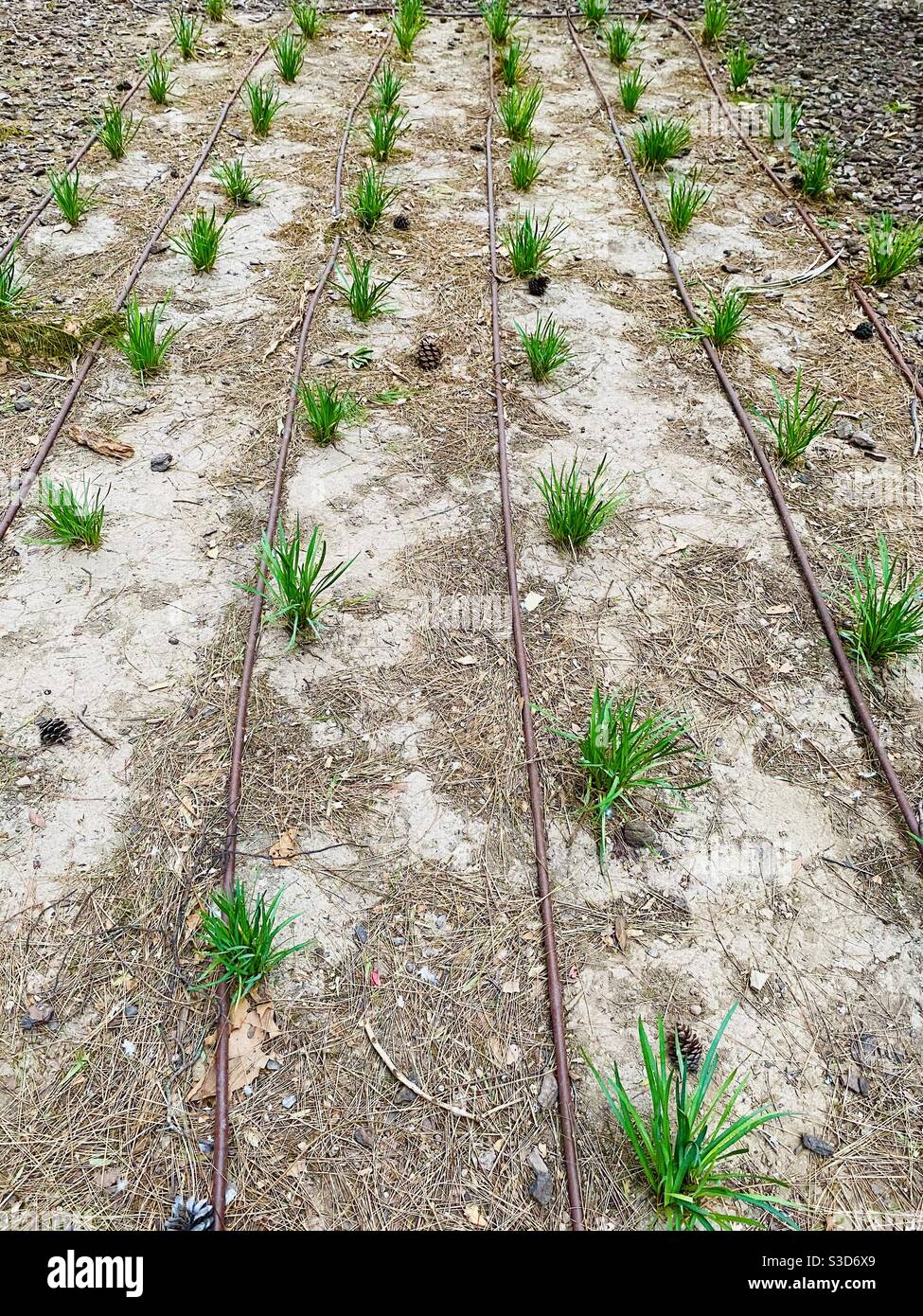 Soil irrigation hi-res stock photography and images - Alamy