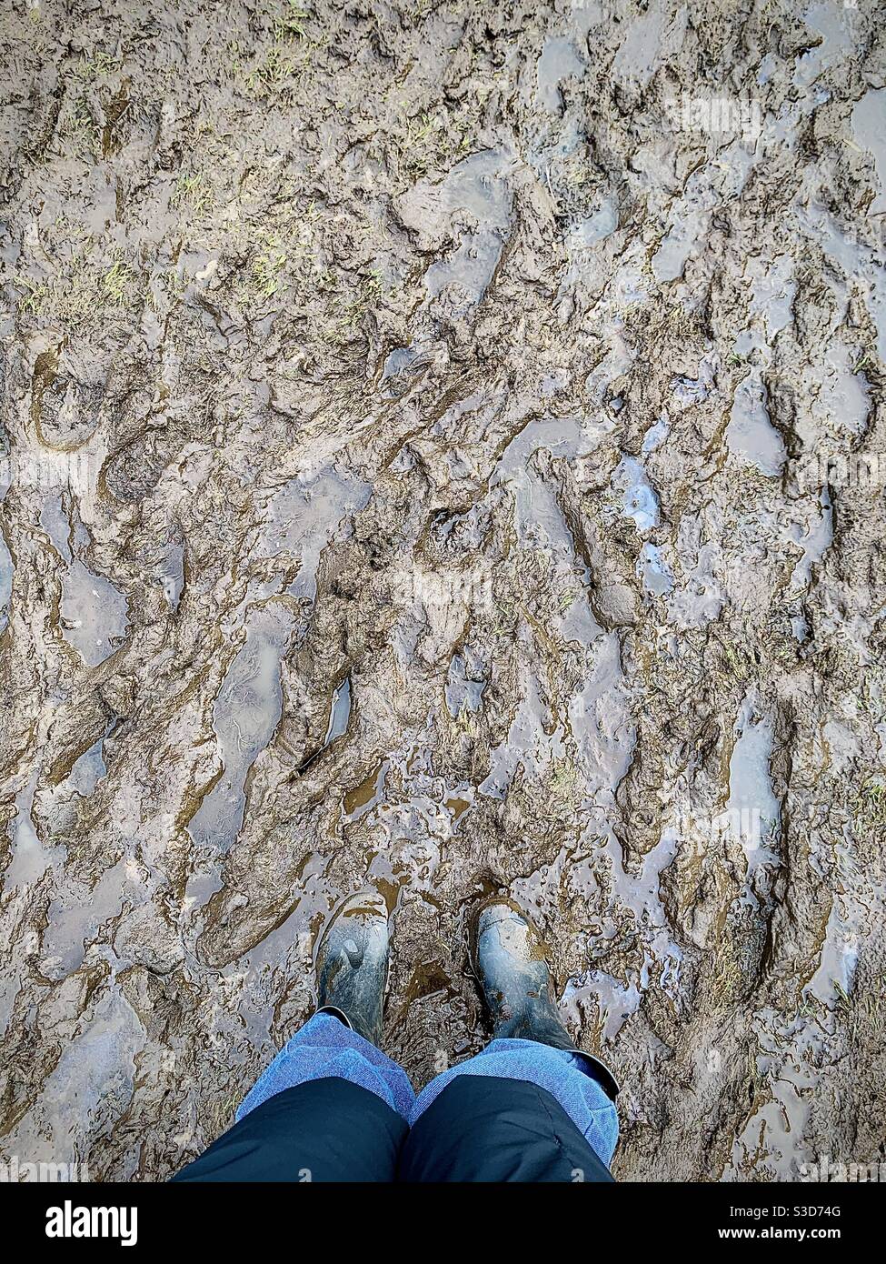 Mud - Smartphone Captured Stock Image