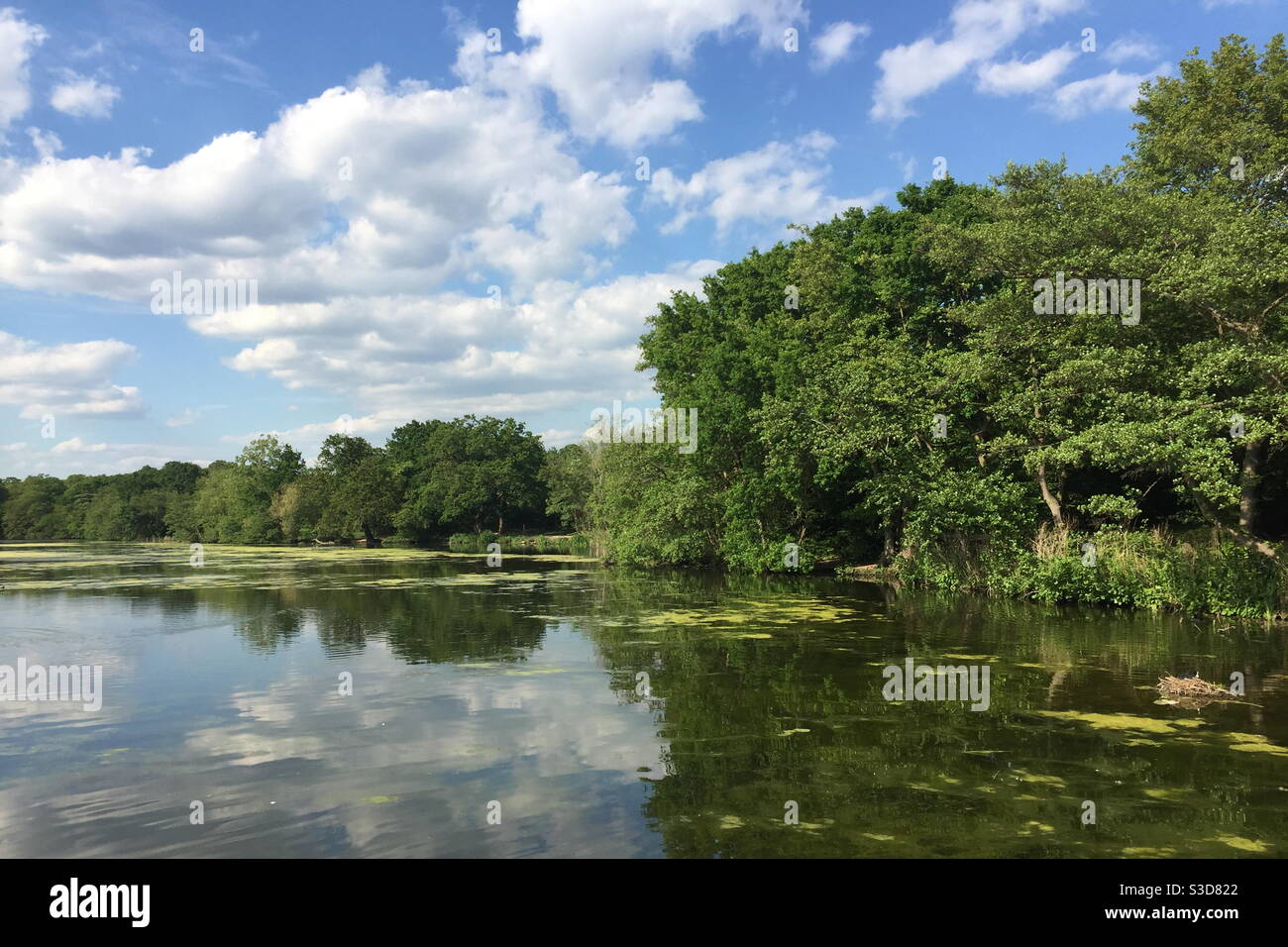 Sunshine sunlight sunny park hi-res stock photography and images - Alamy